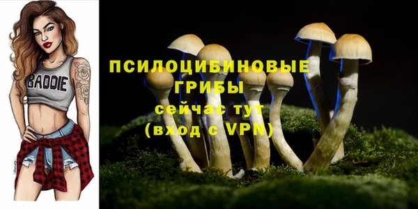 MESCALINE Баксан