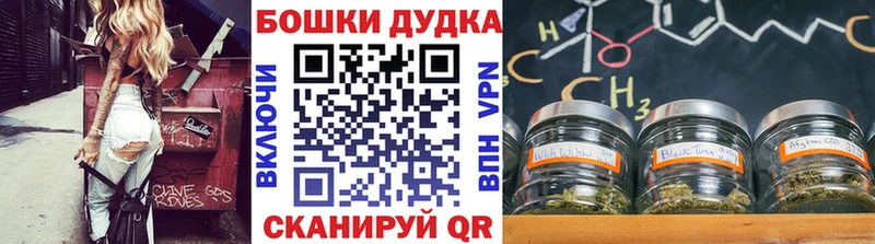 Конопля гибрид  Купить закладки  Мезень 